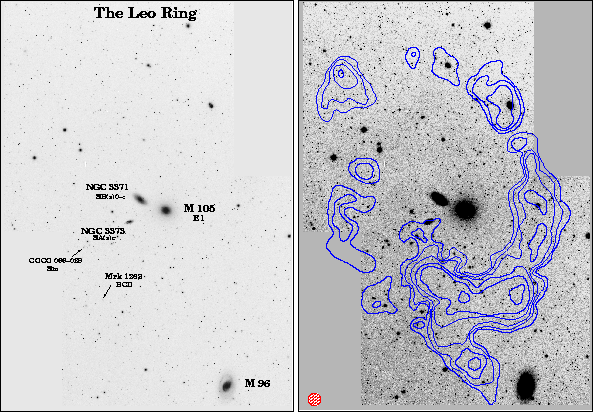 Radio map of the Leo Ring (contours) over the optical view (DSS)